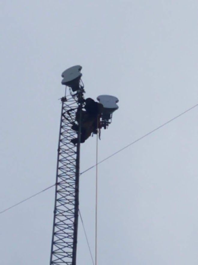 Replacing serge protector on 200' tower
